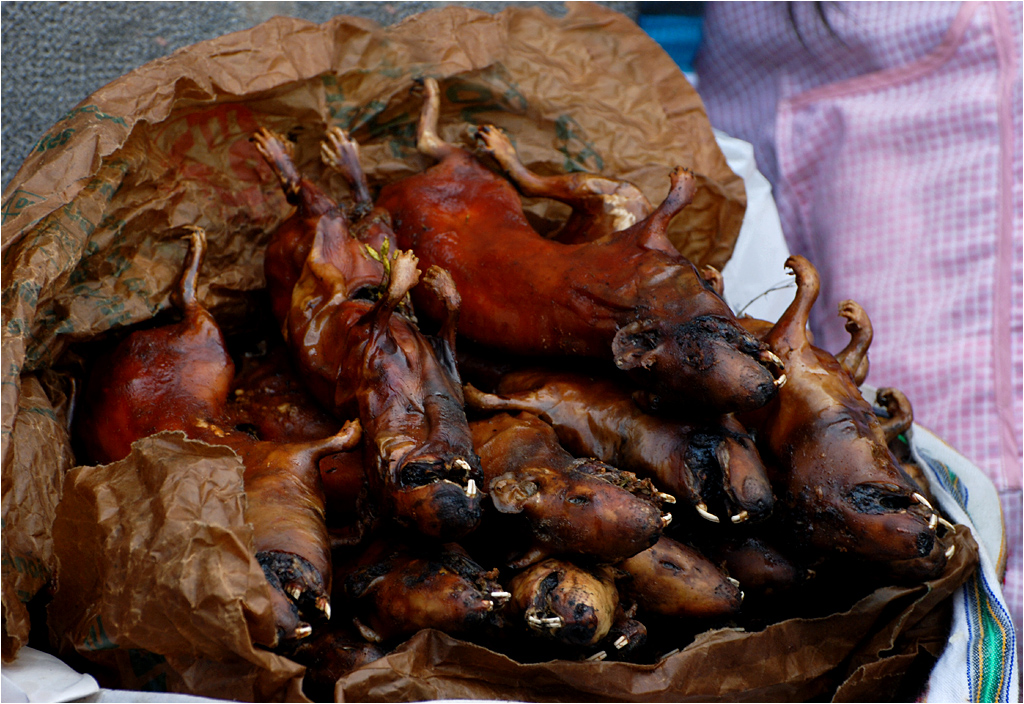 Świnki morskie sprzedawane z wora na targu w Cusco