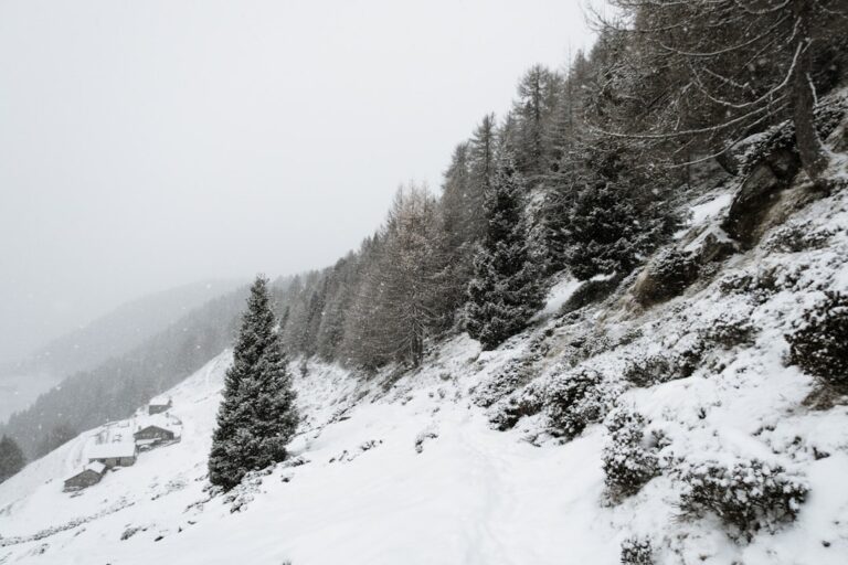Jak zaplanować trekking na Uralu – poradnik dla odważnych
