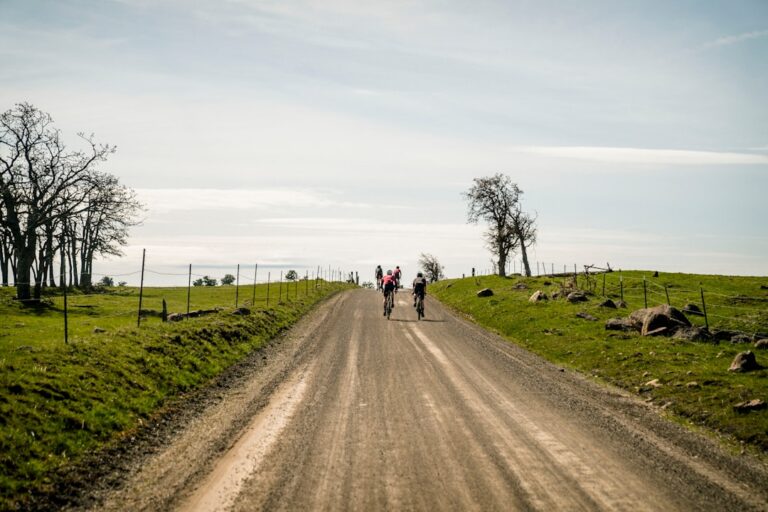 Jak zorganizować wyprawę rowerową przez Litwę i Łotwę?