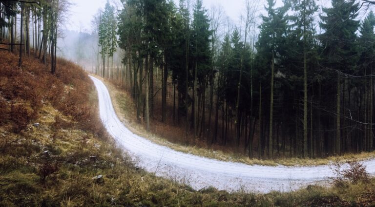 Przewodnik po najpiękniejszych trasach rowerowych na Litwie